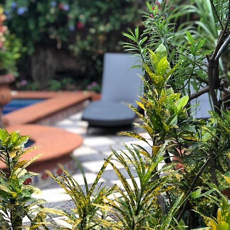 Casa Del Sol Inn アヒヒク エクステリア 写真