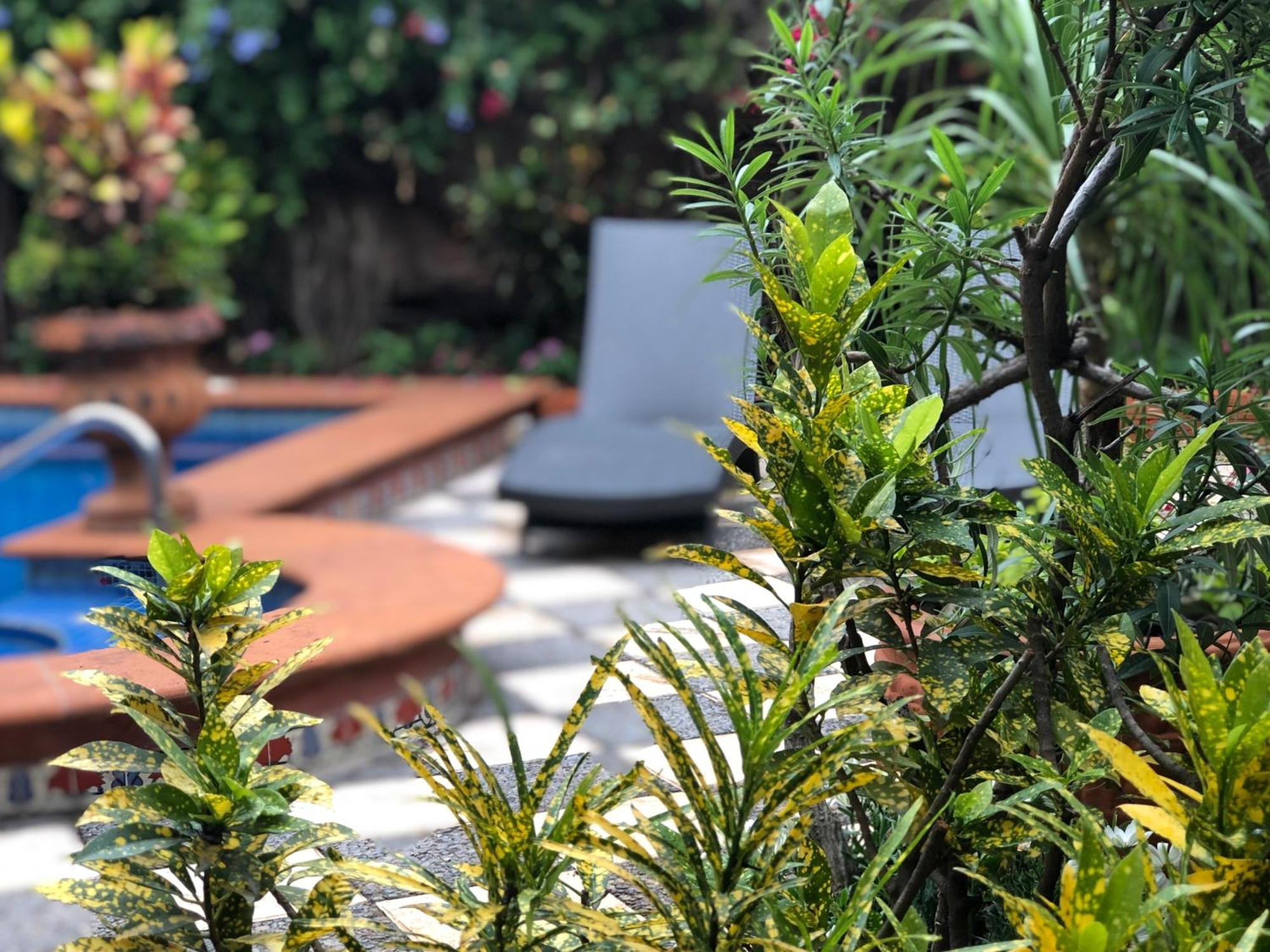 Casa Del Sol Inn アヒヒク エクステリア 写真